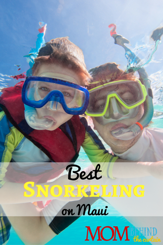 How to find the best snorkeling in Maui on your family vacation.