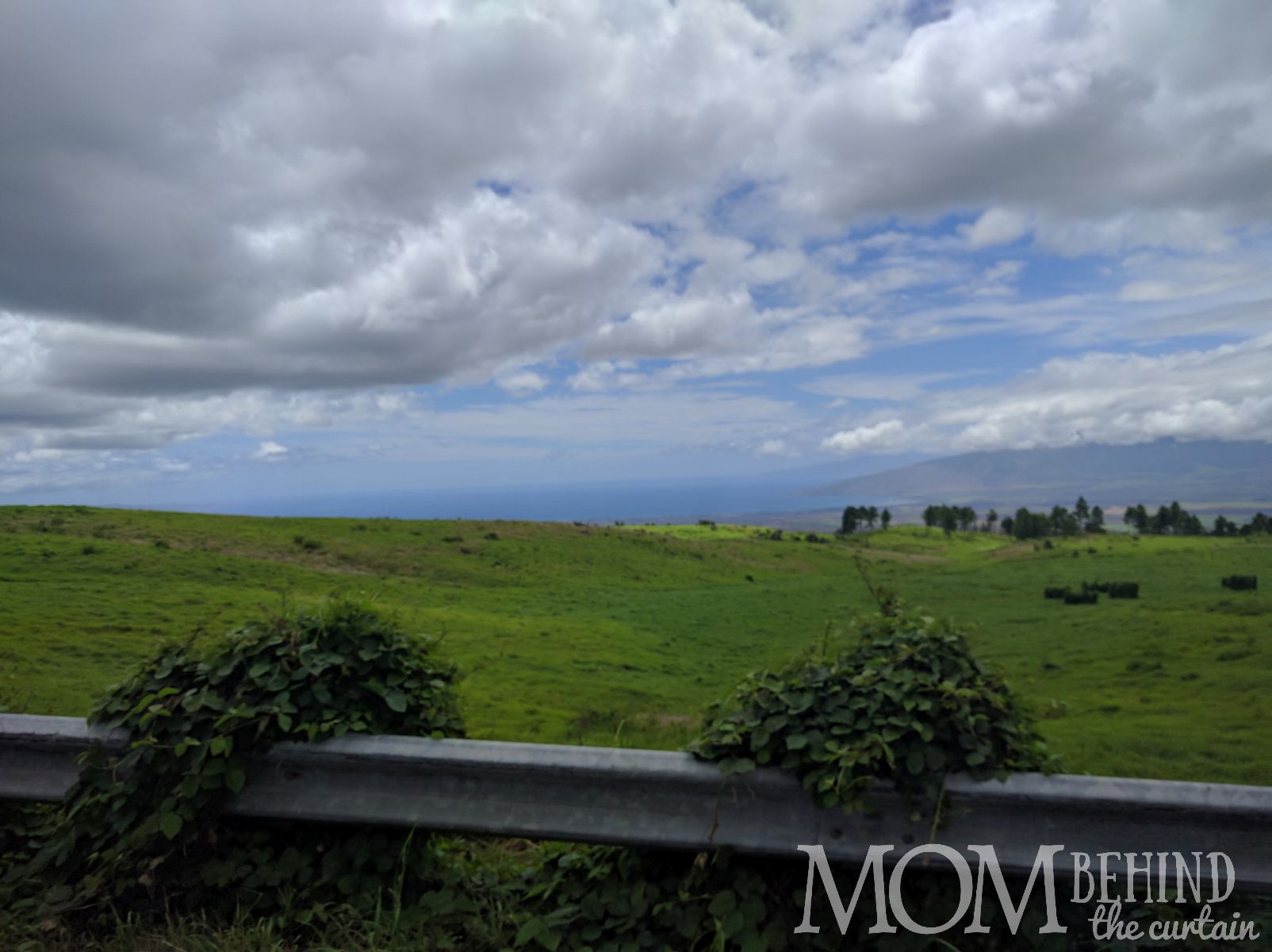 Scenery along Haleakala Summit drive, Maui, green rolling hills and distant ocean.