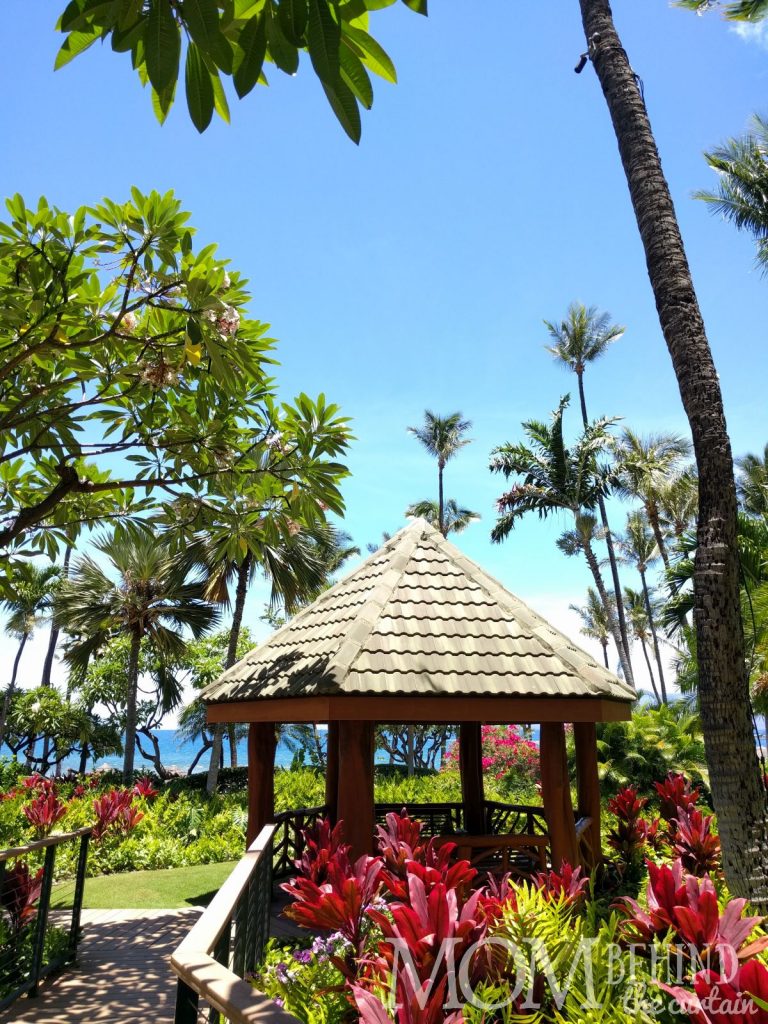 The best place to stay Maui - Hyatt Regency Resort grounds