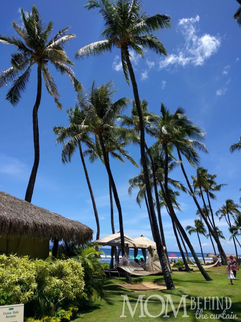 Hyatt Regency Maui beach rental - canvas tent