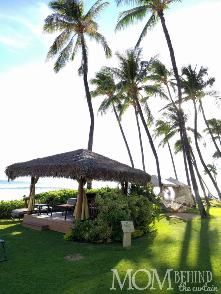 Hyatt Regency Maui beach rental - grass roof