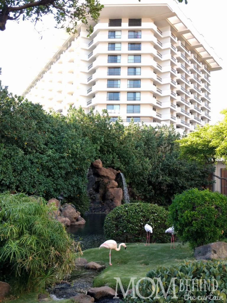 The best place to stay Maui - Hyatt Regency Resort grounds