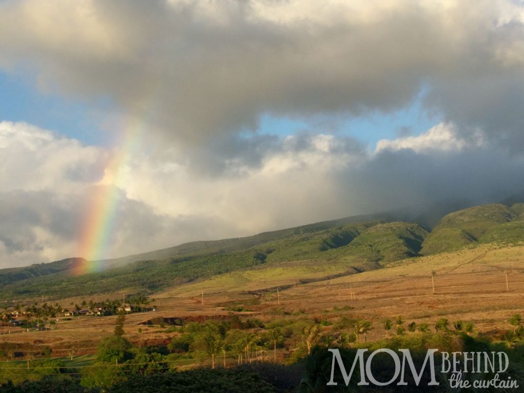 The best place to stay Maui - Hyatt Regency Resort mountain view