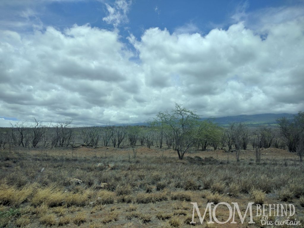 South Maui natural lanscape