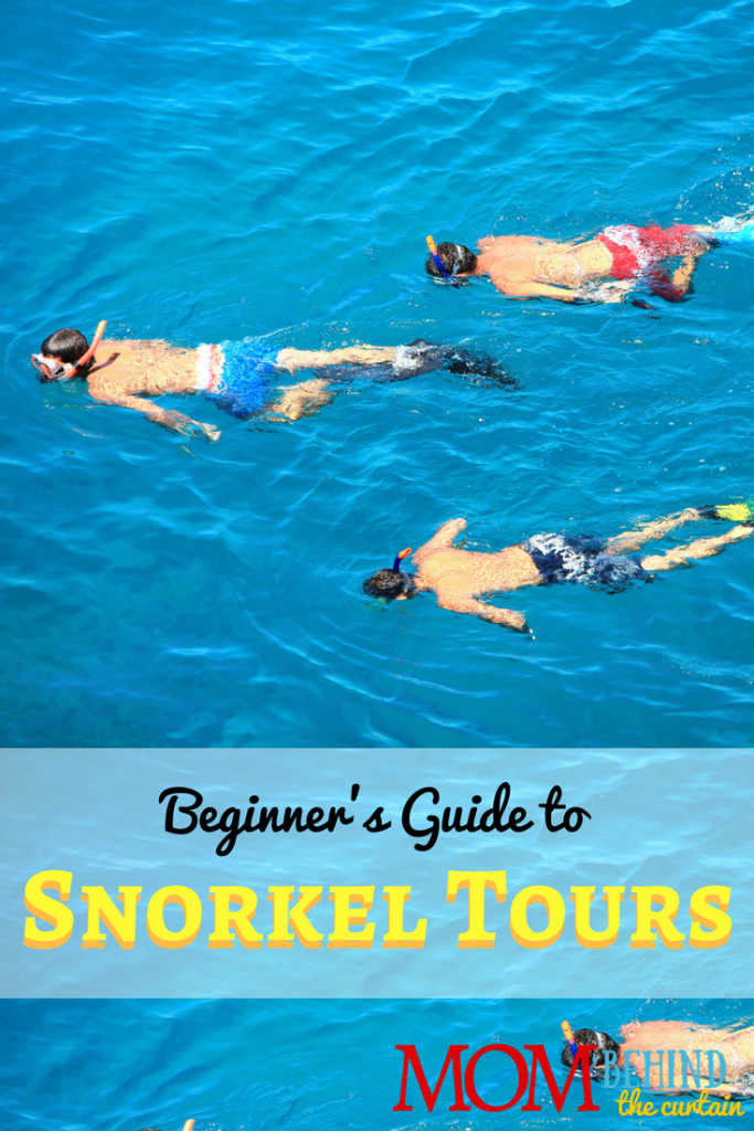 Here's what you need to know before you go on your first snorkeling tour on your family vacation.